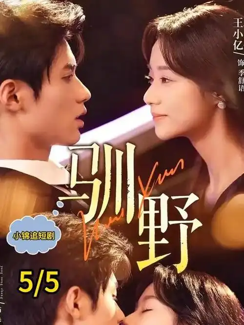 雾港来信热播电视剧全集海报